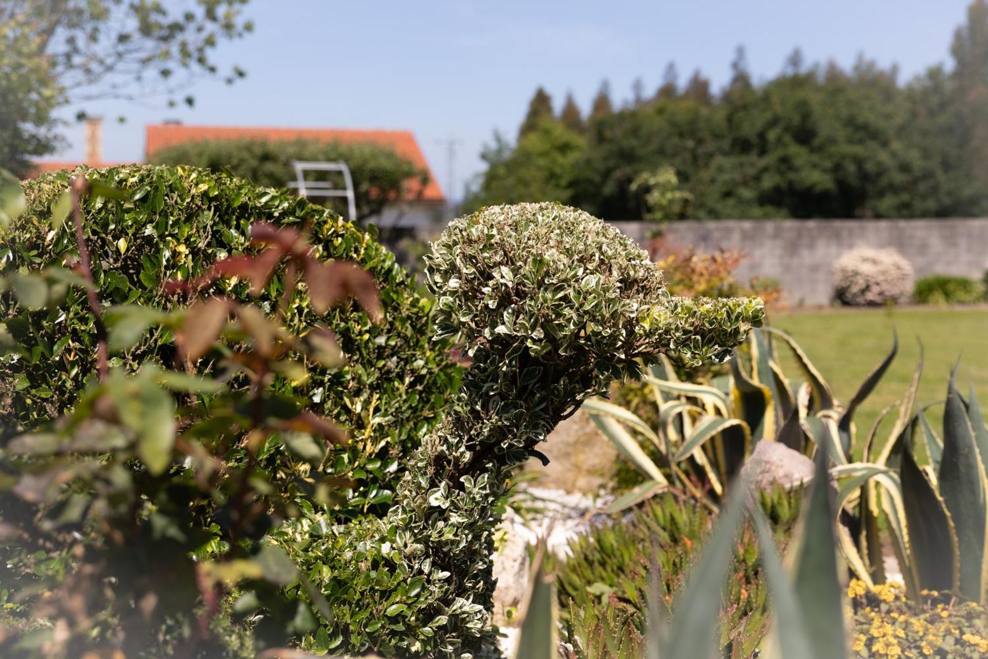 Hostal O'Cruceiro O Pino Exterior photo